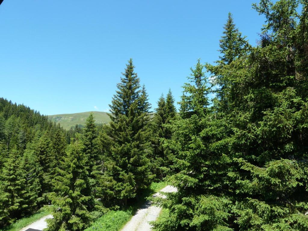 Bruckerhutte Panzió Lachtal Kültér fotó